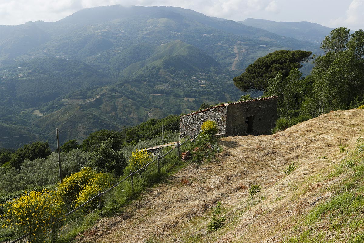 camera e colazione - panorama