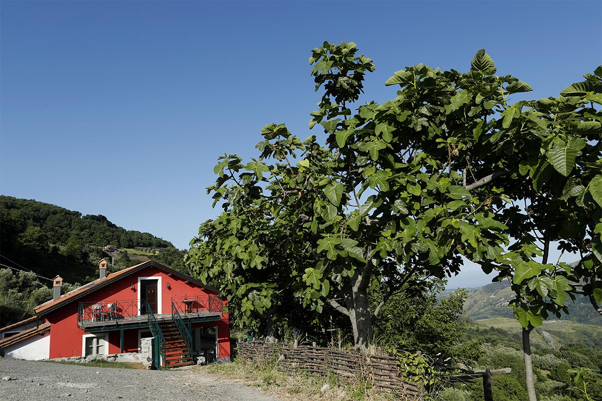 camera e colazione - panorama