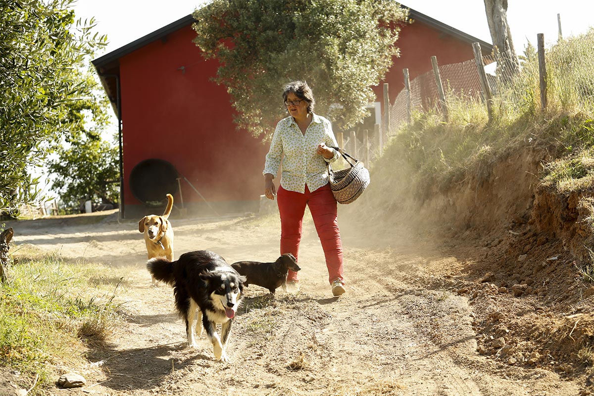 camera e colazione - Fiona con i cani